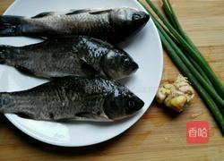 鲫鱼汤的做法图解1