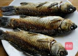 鲫鱼汤的做法图解4