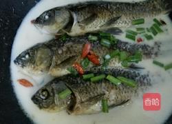 鲫鱼汤的做法图解7