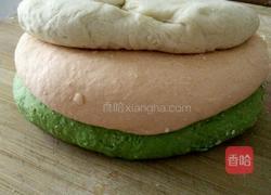 绿色手擀面的做法图解5