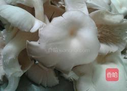 脆炸平菇的做法图解1