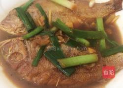 酱焖红鱼的做法图解9