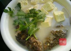 鲫鱼奶羹的做法图解10