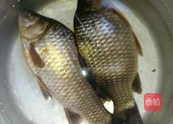 鲫鱼奶羹的做法图解1