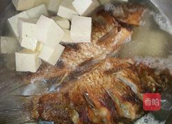 鲫鱼奶羹的做法图解7