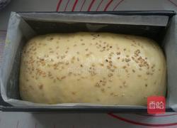 双色吐司面包的做法图解14