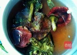 红菇炖鸡的做法图解12