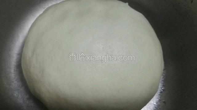面粉加一克的盐拌匀，一半烫面一半凉水，我又放了约10克的油，和成舒服的面团，醒发半小时