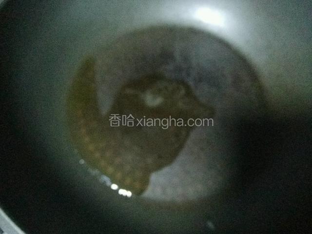 锅里放少许油