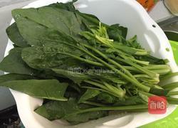 蒜香菠菜的做法图解1