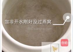 冰糖炖燕窝的做法图解5