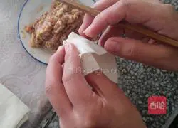 Illustration of how to make wontons 4