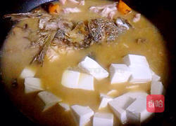 鮸鱼头炖豆腐的做法图解8