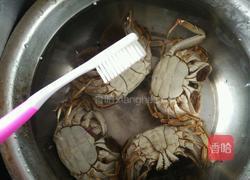 大闸蟹的做法图解4