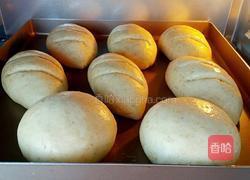 全麦软面包的做法图解9