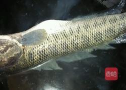 酸汤乌鱼的做法图解4