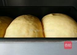 南瓜土司的做法图解9