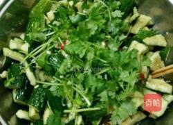 凉拌青瓜的做法图解3