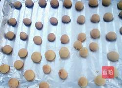 小馒头（玉米淀粉）的做法图解4