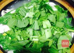 口蘑烧菜心的做法图解9