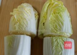 白菜莲花粉丝汤的做法图解4