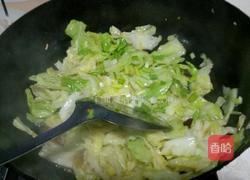 手撕圆白菜的做法图解6