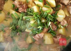 鸭腿肉烧土豆的做法图解7