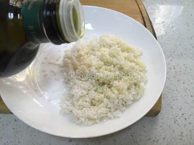 将米淘洗干净沥干，加入2勺植物油