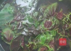 凉拌苋菜的做法图解2