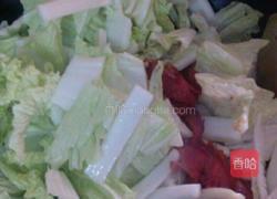 家常白菜牛肉的做法图解5