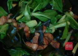 海带烧肉的做法图解6