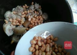 猪尾巴花生汤的做法图解4