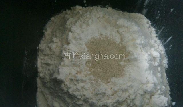 将除黄油外的所有材料依次加入面包机(要先放液体，再放面粉，最后将面粉开一小窝放入酵母)