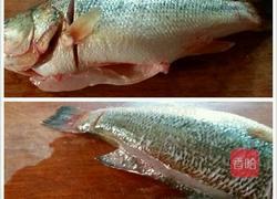 生滚鱼片粥的做法图解4