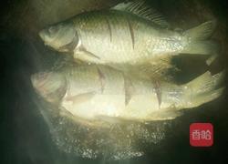 野生河鲫鱼红烧的做法图解2