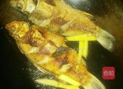 野生河鲫鱼红烧的做法图解4