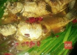 野生河鲫鱼红烧的做法图解6