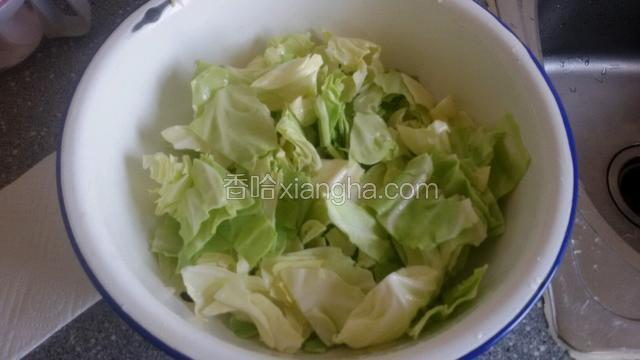 圆白菜另放个干净盆中，同样加入少许盐和高度白酒拌匀