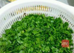 素鲜饺子的做法图解4