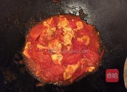 西红柿炒蛋的做法图解12