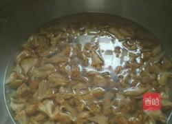 红烧猴头菇的做法图解3