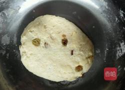 葡萄干司康的做法图解8