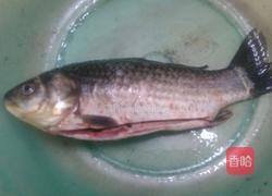 西洋菜滚鲫鱼汤的做法图解1