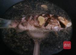 西洋菜滚鲫鱼汤的做法图解4
