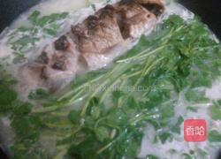 西洋菜滚鲫鱼汤的做法图解6