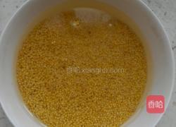 小米排骨的做法图解2