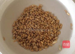 小麦草水培的做法图解1