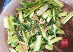 虾仁炒菜心的做法图解6
