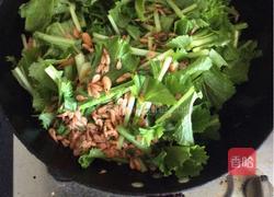 雪里蕻炒鲜河虾的做法图解6