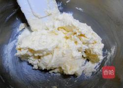 巧克力可可小熊饼干的做法图解6